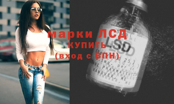 молекула духа Вяземский